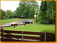 DSC04794.JPG